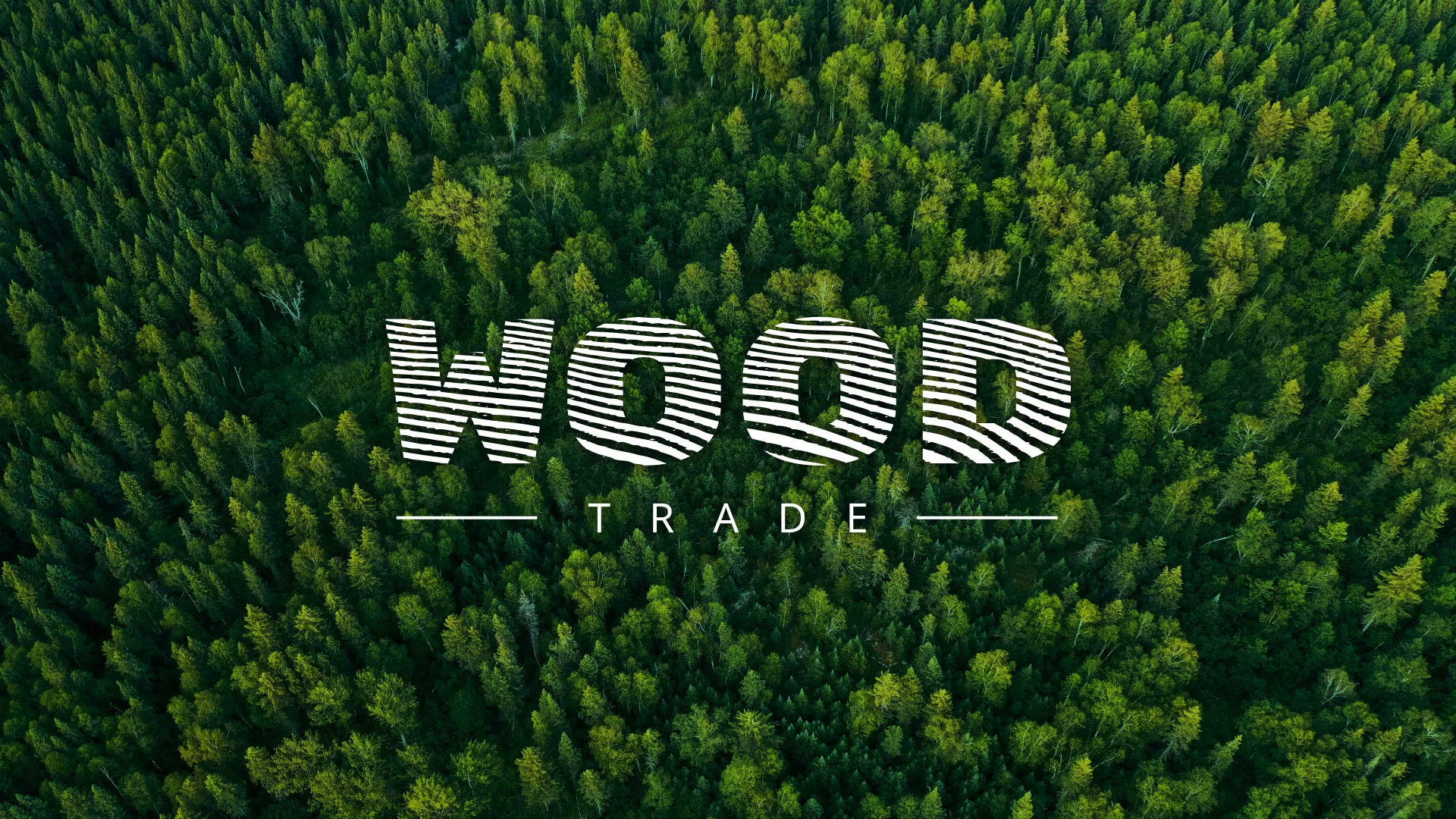 Разработка интернет-магазина компании «Wood Trade» в Твери